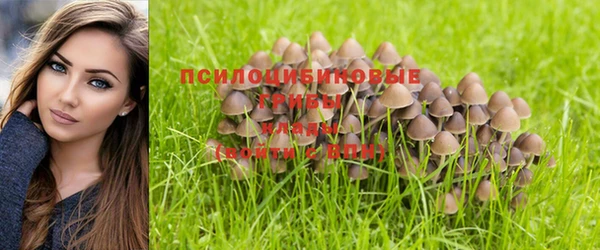 гашиш Алексеевка